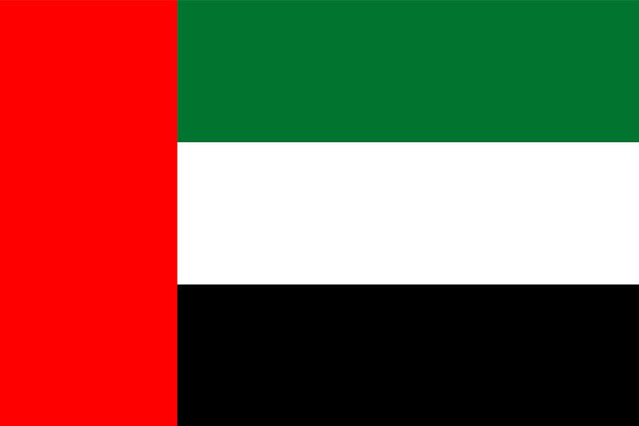 UAE Election Partnership